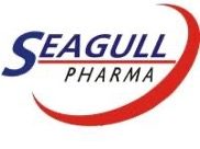 Seagull